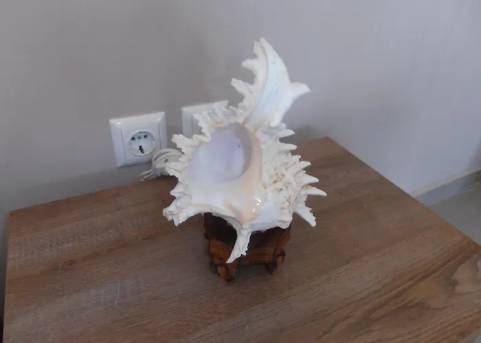 Once Upon A * Porto Cheli